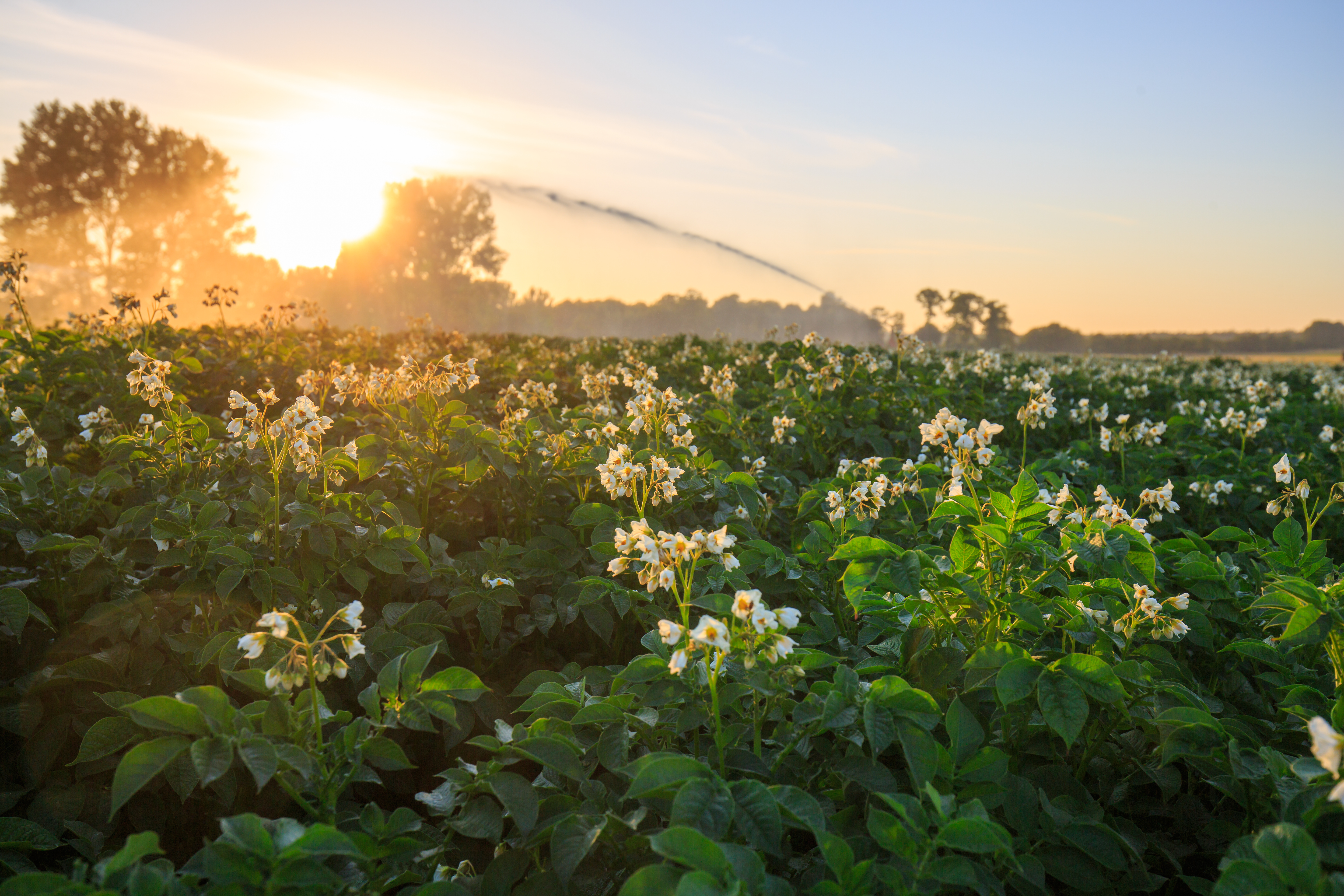 Inbjudan och anmälan odlarmöte 2026